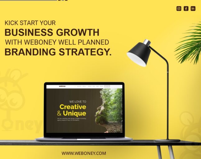 Weboney’s well-planned digital marketing strategy!
